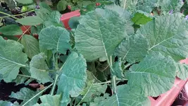 02_20170705_203708_resized.webp