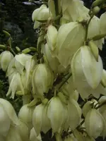 BILD7407.webp