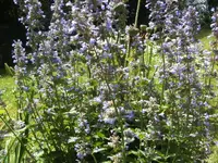BILD7312.webp