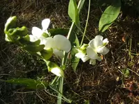 BILD7353.webp