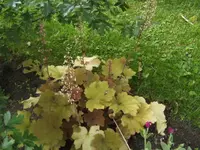 BILD7432.webp