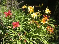 BILD7463.webp