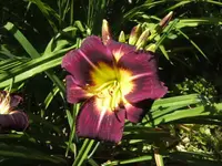 BILD7464.webp