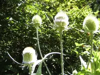 BILD7466.webp