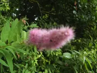 BILD7433.webp