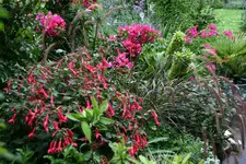 Terasse2415.webp