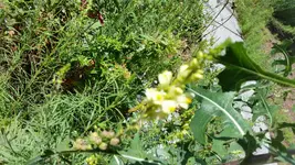 20170705_105155.webp