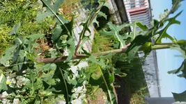 20170705_105148.webp
