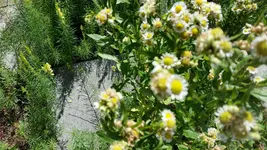 20170705_105114.webp
