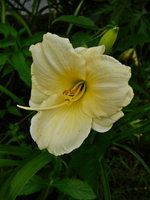 P1140105.webp
