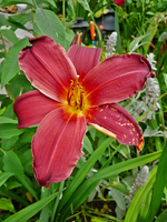 P1140106.webp