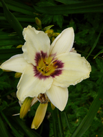 P1140111.webp