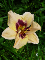 P1140122.webp