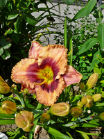 P1140129.webp