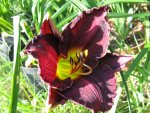 fragezeichen_1067x800.JPG