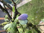 IMG_5764.jpg
