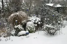 Winter3310.webp