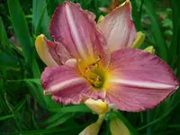DSCI0371.webp