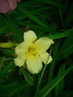 DSCI0373.webp