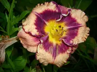 DSCI0375.webp