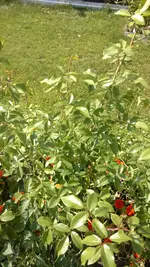 WP_20170706_002.webp