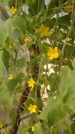 WP_20170706_001.webp