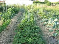 IMG_0948a.webp