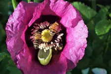 DSCF9335 (2).webp