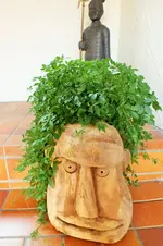 DSCF9357 (3).webp