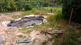 IMG-20160723-WA0002.webp