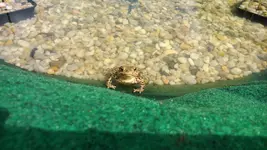IMG-20160729-WA0000.webp