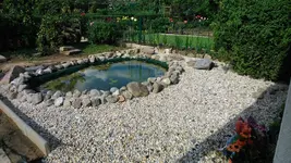 IMG-20160730-WA0000.jpg