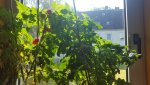 20170707_101542[1].jpg