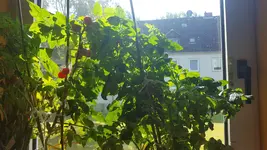 20170707_101542[1].webp