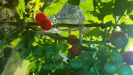 20170707_101547[1].webp