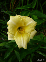 P1140148.webp