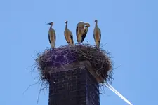 DSCN3282.webp