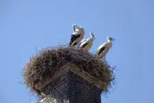 DSCN3299.jpg