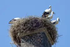DSCN3303.jpg