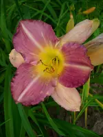 DSCI0376.webp