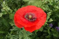 DSCF9366 (2).webp