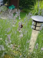 20170706_152139.jpg
