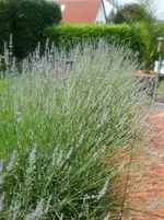 20170708_101414.jpg