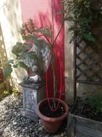20170708_124854.webp