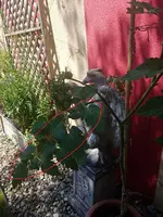 20170708_124902.webp