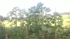 WP_20170707_18_34_33_Pro.jpg