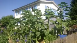 WP_20170708_09_50_16_Pro.jpg