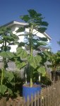 WP_20170708_09_50_29_Pro.jpg