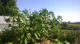 WP_20170708_09_51_06_Pro.jpg