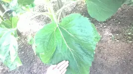 WP_20170707_18_34_16_Pro.jpg